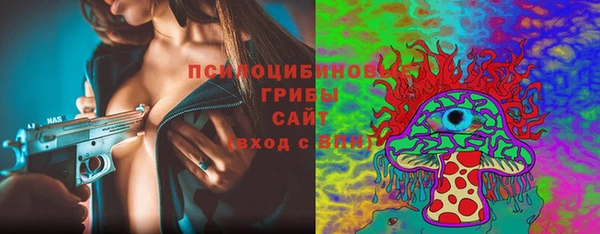 винт Наволоки